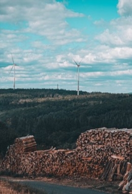 Art Galleries Collingwood