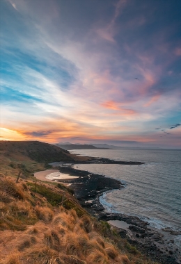 Art Galleries Devonport