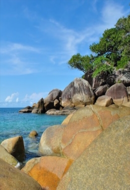 Art Galleries Fitzroy