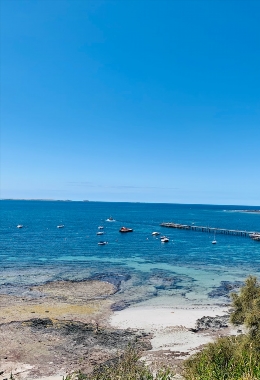 Art Galleries Flinders