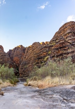 Art Galleries Kununurra