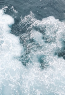 Art Galleries Maitland