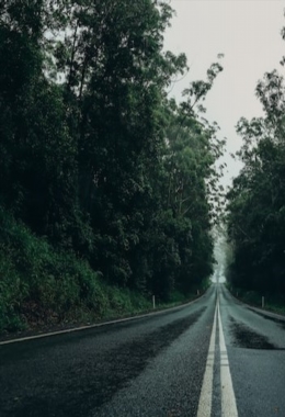 Art Galleries Maleny