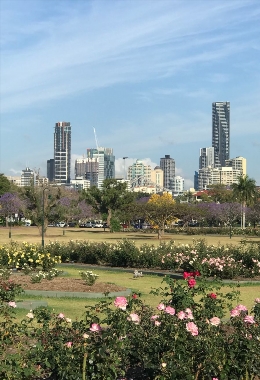 Art Galleries New farm