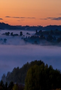 Art Galleries Orange