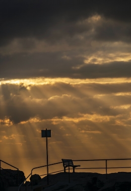 Art Galleries Queenscliff