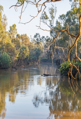 Art Galleries Shepparton