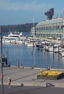 Art Galleries Woolloomooloo