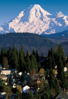 Art Galleries Abbotsford