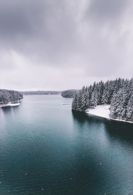 Art Galleries Campbell river