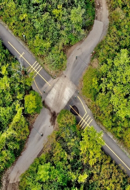 Galerías de arte Chatham