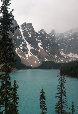 Art Galleries Courtenay