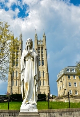 Art Galleries Guelph