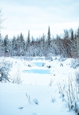 Art Galleries Invermere