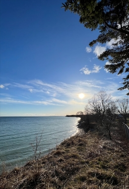 Galerías de arte Oshawa