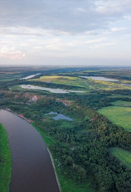 Galerías de arte Red deer