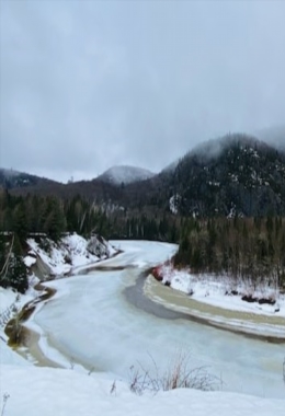 Galerías de arte Sault ste marie