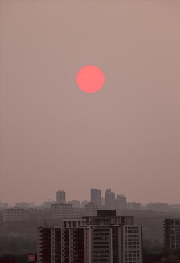 Galerías de arte Vaughan