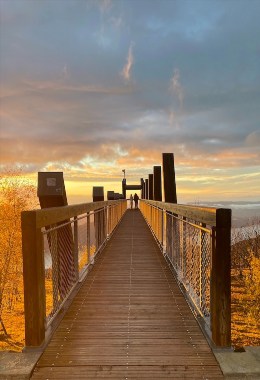 Galeries d'art Aix-les-Bains
