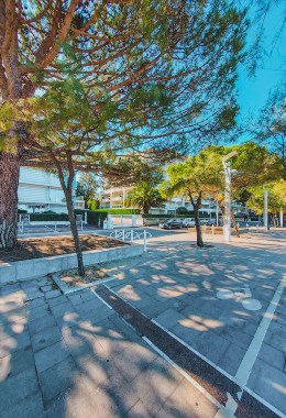 Art Galleries Arcachon