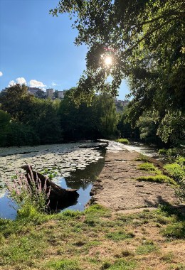 Galeries d'art Rodez