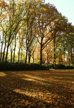 Kunstgalerieën Arnhem