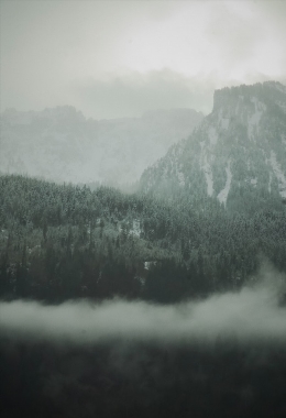 Kunstgalerien Vernier