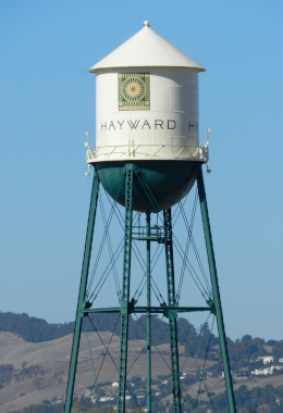 Art Galleries Hayward