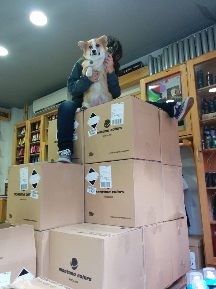 Art Gallery Montana Shop & Gallery