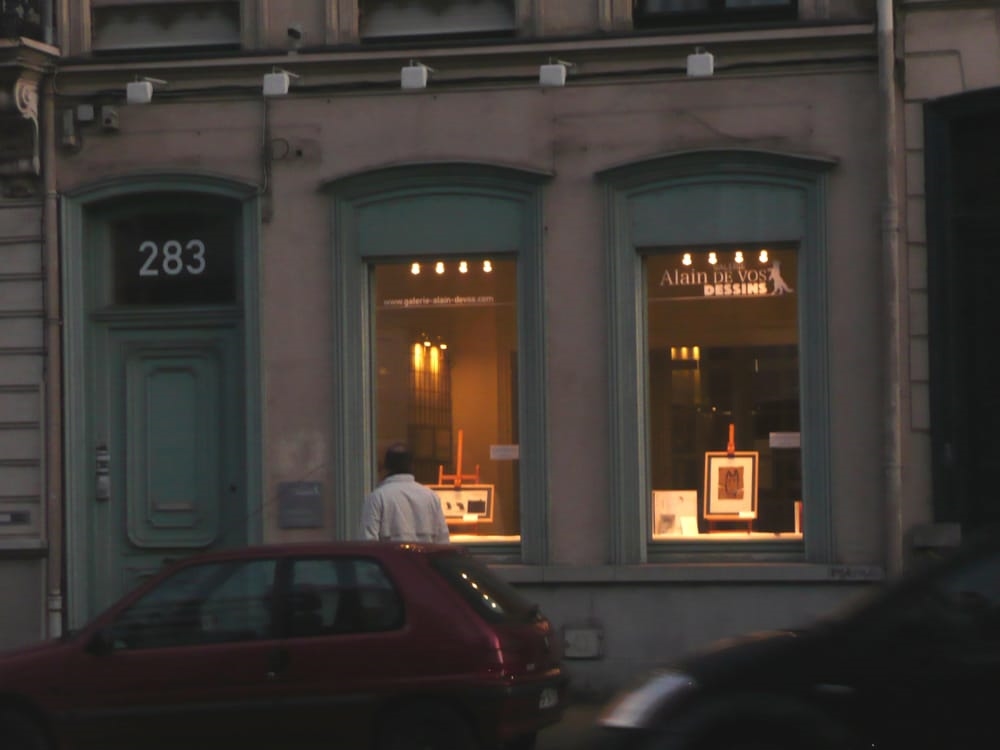 Galerie d'art Galerie Alain de Vos