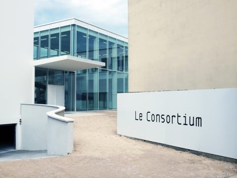Art Gallery Le Consortium - Centre d'Art Contemporain