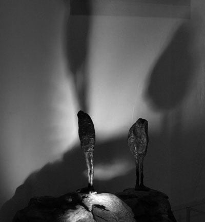 Galerie d'art Galerie d'art Délits des Sens