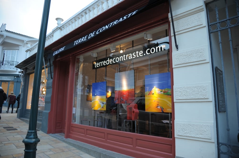 Galerie d'art Triangle Des Arts