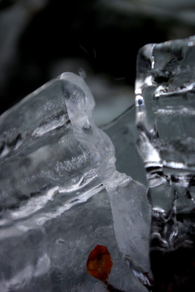 Galerie d'art Galerie Profils-Artimon