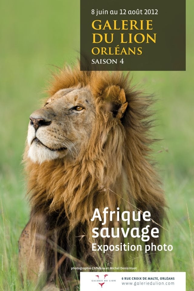 Galerie d'art Galerie du Lion