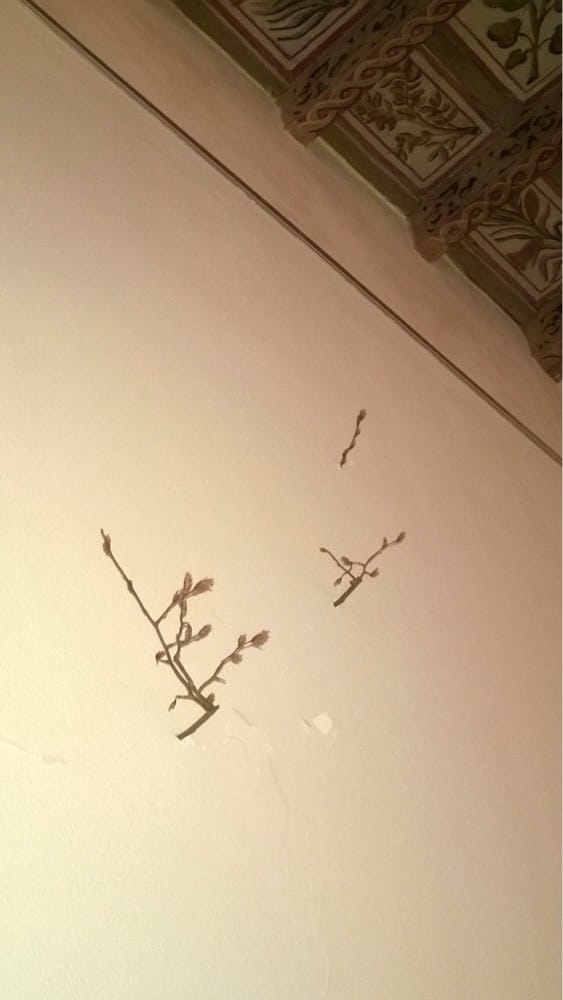 Art Gallery MLB Gallery