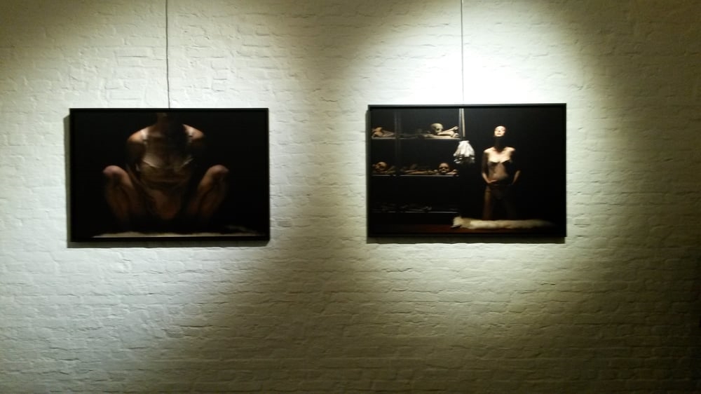 Galerie d'art Galerie Verbeeck Van Dyck