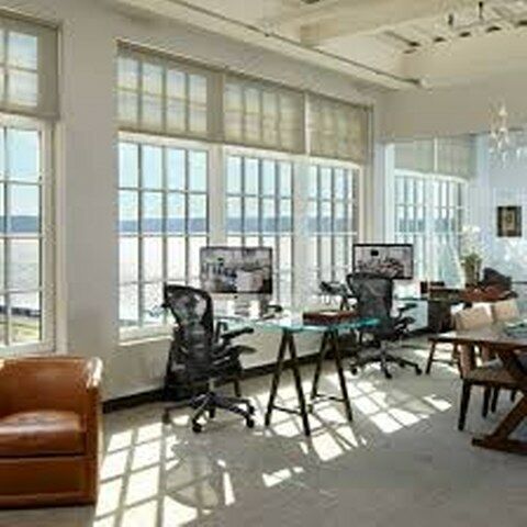 Art Gallery Wellington Fine Arts