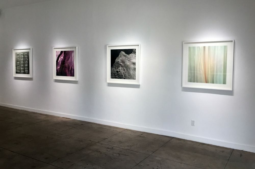 Art Gallery Gallery Brown