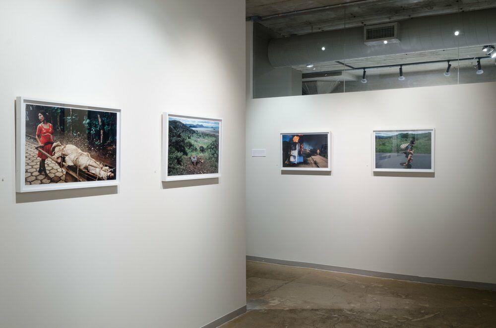 Art Gallery Stephen Daiter Gallery