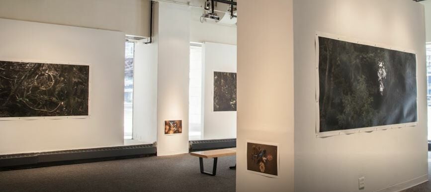 Art Gallery C33 Gallery