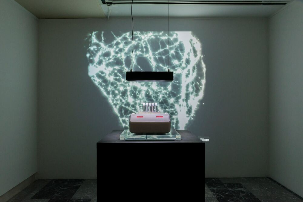 Art Gallery Esther Klein Gallery