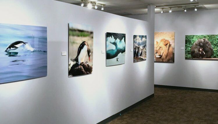 Art Gallery O R D A Gallery