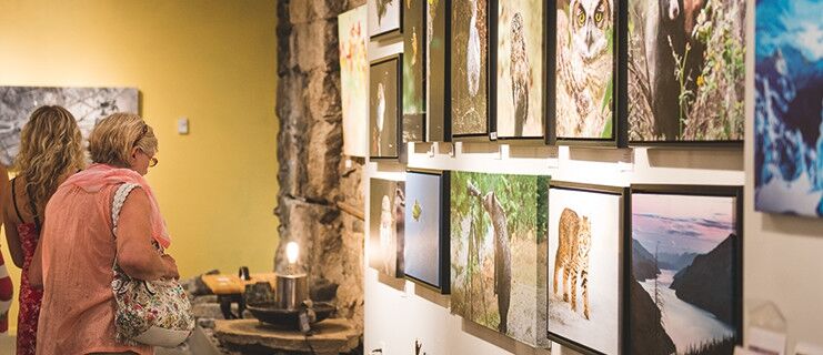 Art Gallery St. Nelson Studio & Gallery