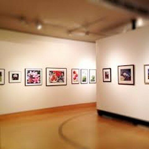 Art Gallery Women Painters of Washington Gallery