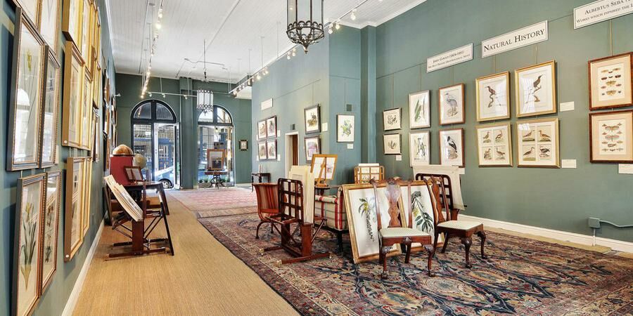 Art Gallery Arader Gallery