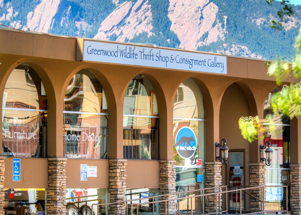 Art Gallery Greenwood Wildlife Consignment Gallery & Thrift Shop