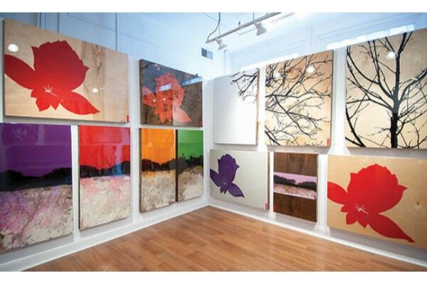 Art Gallery The Gallery of Andy Anh Ha