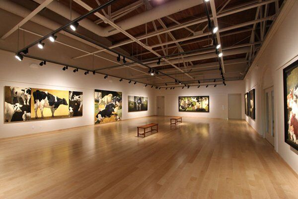 Art Gallery VP Gallery