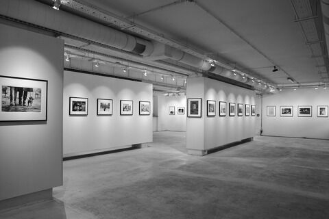 Art Gallery & gallery